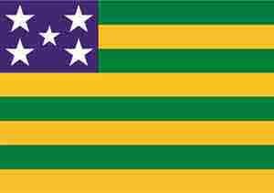 Bandeira de Rondônia - Banderart