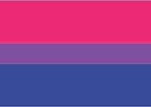 Bandeira LGBT Orgulho Bisexual