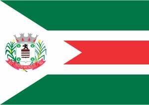 Bandeira de Diogo de Vasconcelos