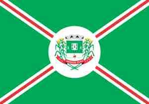 Bandeira de Engenheiro Caldas