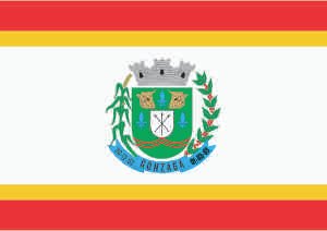 Bandeira de Gonzaga