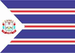 Bandeira de Jacutinga