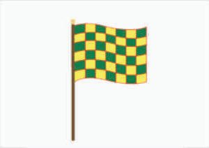 Bandeira quadriculada verde / amarela