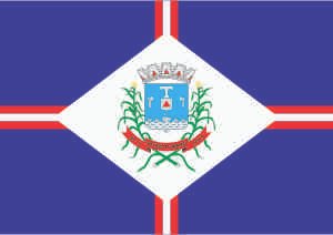 Bandeira de Patos de Minas