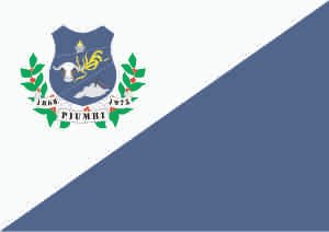 Bandeira de Piumhi