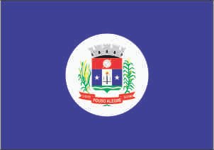 Bandeira de Pouso Alegre