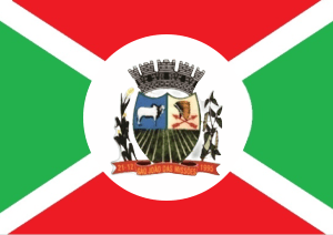 Bandeira de São João das Missões