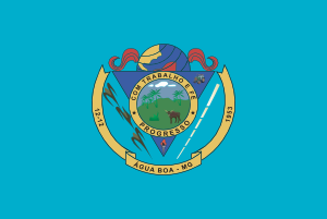 Bandeira de Água Boa