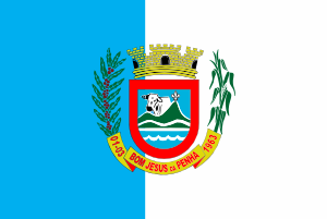 Bandeira de Bom Jesus da Penha