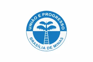 Bandeira de Brasilia de Minas