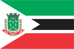 Bandeira Capitão Enéas