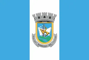 Bandeira de Barroso