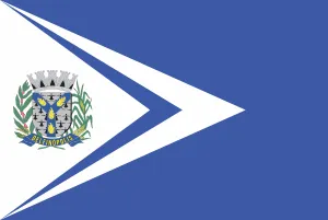 Bandeira de Delfinópolis