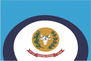 Bandeira de Divisa Nova