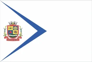 Bandeira de Dom Cavati