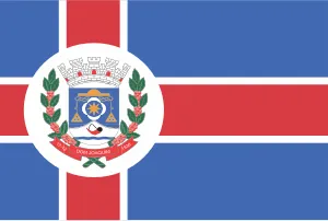 Bandeira de Dom Joaquim