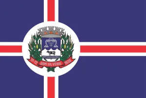 Bandeira de Dom Silvério
