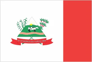 Bandeira de Dores do Turvo