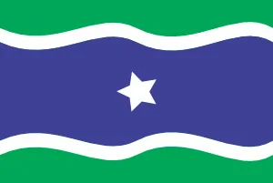 Bandeira de Entre Rios de Minas