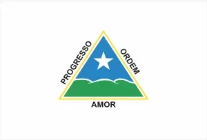 Bandeira de Estrela do Sul