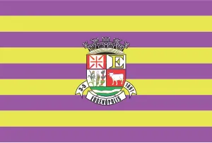 Bandeira de Eugenópolis