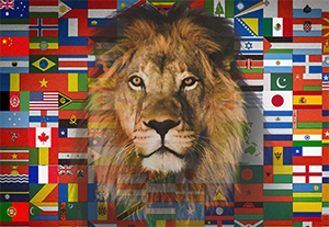 Bandeira Rei das Nações