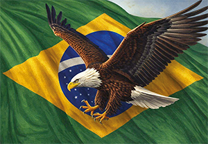 bandeira evangélica brasil águia